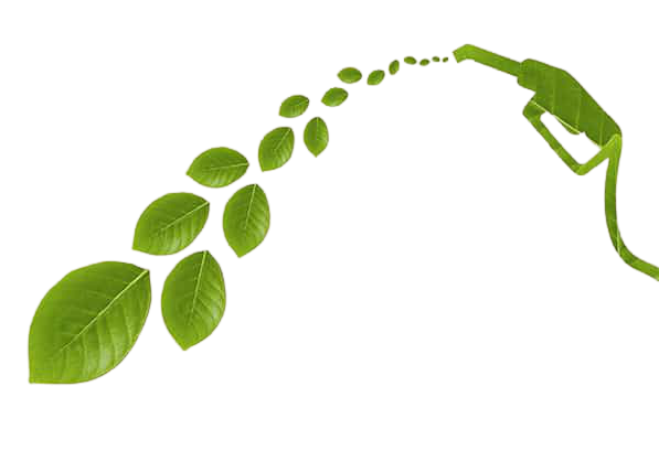 Graphic of leaves coming from fuel pump to represent biodiesel