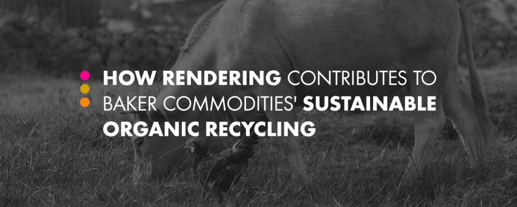 rendering organic recycling