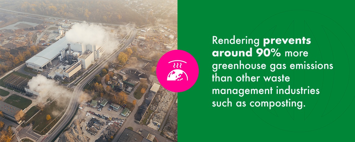 Rendering prevents around 90% more greenhouse gas emissions than other waste management industries