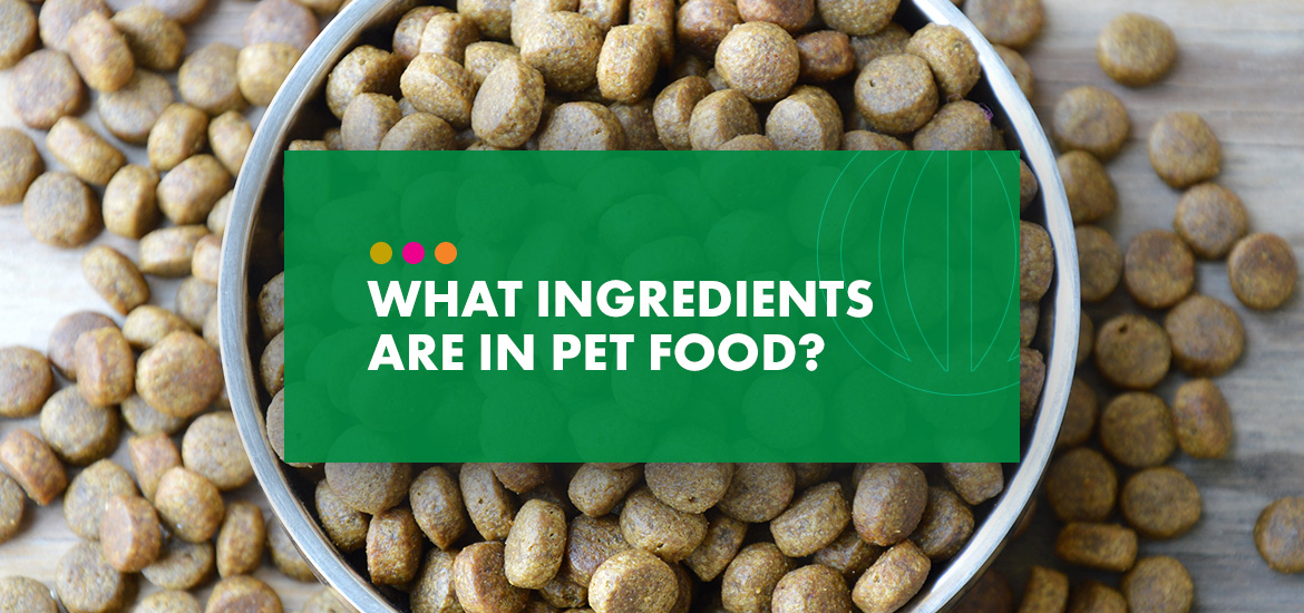 What Ingredients Are in Pet Food?