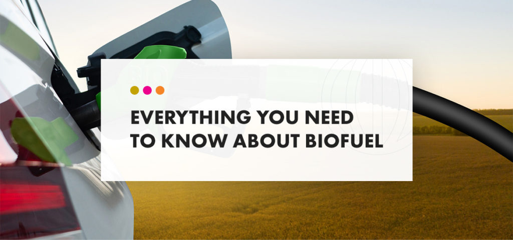 Everything about biofuel