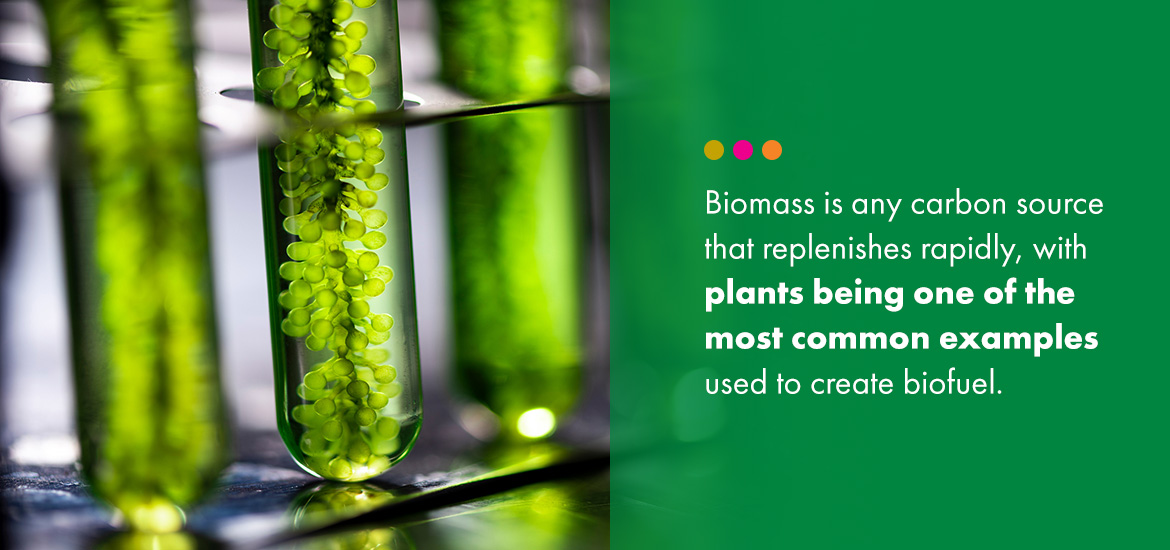 Biomass is a carbon source