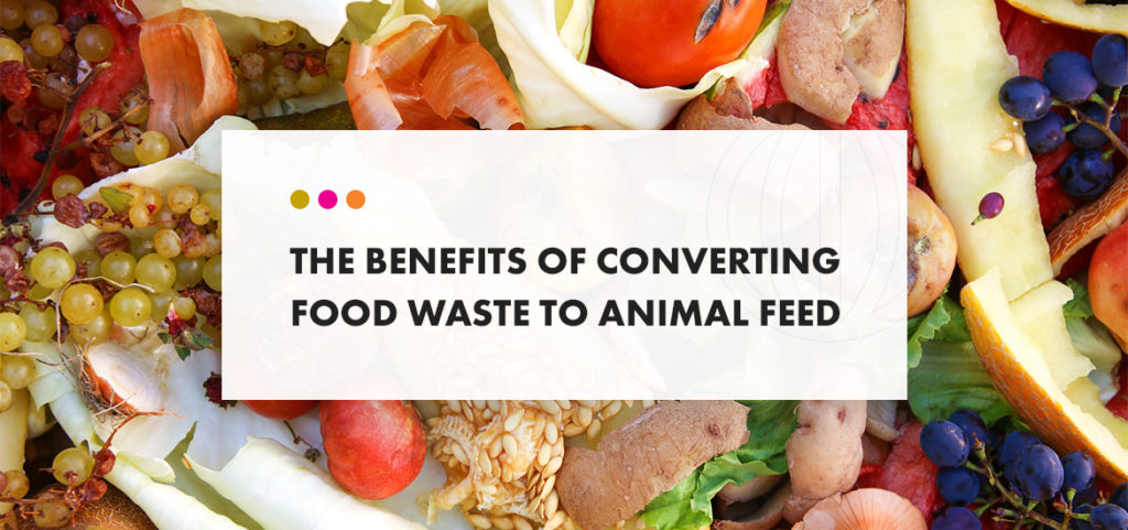 benefits of converting food waste to animal feed