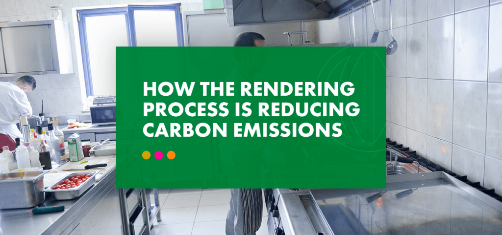 rendering a zero carbon process