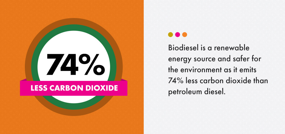 biodiesel is a renewable energy source 